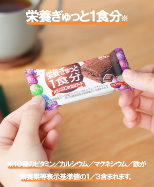 Ezaki Glico Balance-on Mini Cake Chocolate Brownie, 20 pieces - YOYO JAPAN