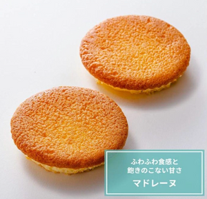 Close-up of marble cake (cocoa swirl) from Ueno Shigetsudo Gateau Collection