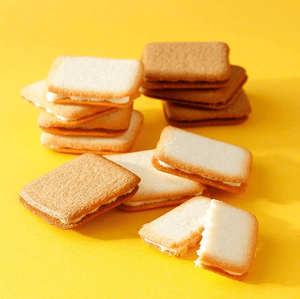 Shiseido Parlour Lang de Chat Cookies 10 pieces - YOYO JAPAN