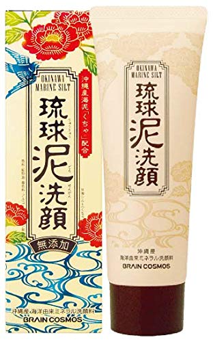 Rest Ryukyu Mud Face Wash 100G From Japan