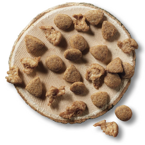 Nestle Purina Purina One Cat Dry Grain-Free Chicken 1.6kg - YOYO JAPAN