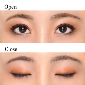 Chifure Gradient Eyeshadow 72 Brown