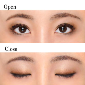 Chifure Gradient Eyeshadow Brown 73