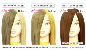 Clip Joint Color Butter Ash Milk Tea 7.1 oz