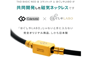 Colantotte Tao Basic Neo Necklace, Magnetic Necklace