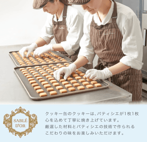 Subredor Cookies, Butter Cookies (24 Count) - YOYO JAPAN