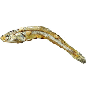 Isuke Squared Sandalwood Lacquered Plate Sun & Moon - YOYO JAPAN