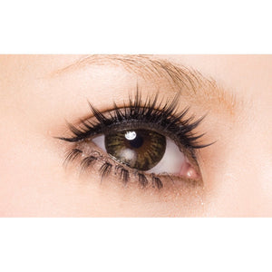 D - Up Eyelash Rich 806 Black 2 Pairs - Long - Lasting Natural Look