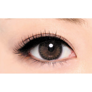 D - Up Eyelash Rich 808 Black False Eyelashes 2 Pairs Natural Look