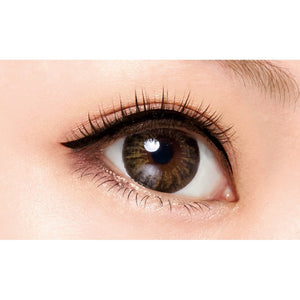 D - Up Eyelash Rich 808 Black False Eyelashes 2 Pairs Natural Look