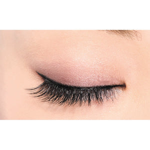 D - Up Eyelash Rich 809 False Eyelashes Black Pack of 2 Pairs
