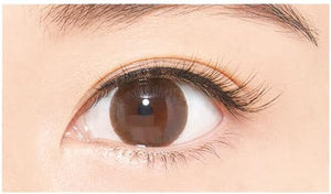 D - Up Furry Lash 05 Sexy 2 Pairs Natural Long - Lasting False Eyelashes