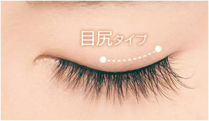 D - Up Furry Lash 05 Sexy 2 Pairs Natural Long - Lasting False Eyelashes