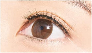 D - Up Furry Lash 05 Sexy 2 Pairs Natural Long - Lasting False Eyelashes