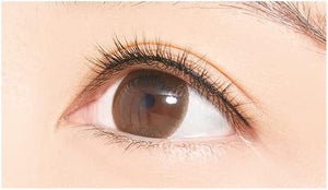 D - Up Furry Rush 04 Cute - 2 Pairs Eyelashes