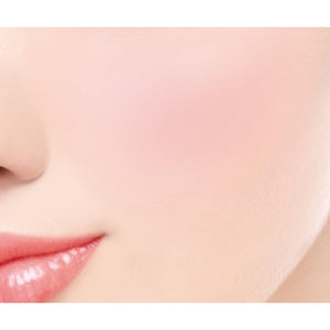 Excel Auratic Blush AB08 Rum Butter Cheek Gradation Makeup