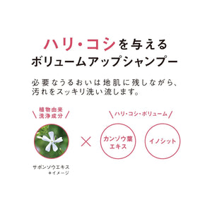 Orbis Quasi - Drug Scalp Care Shampoo 250ml - Refining Formula by Orbis