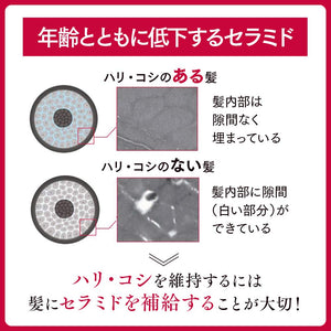 Astalift Scalp Shmp 300ml Refill No - SLS Ceramide