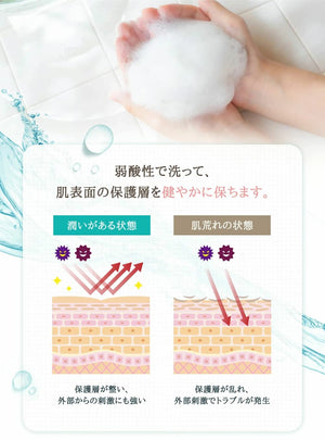 Ph Japan Premium Feminine Wash 150Ml Fresh Blossom Delicate Zone Soap