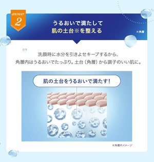 Fancl Skin Conditioning Face Wash 90g Moisturizing Cleanser for Dry Skin