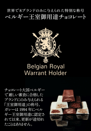 Galler Galley, Chocolate, Nano Bars, 50 Pieces (Normal Gift)