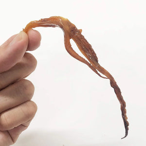 Genkotsu Japanese Seasoned Dried Squid Snack in 80 pcs., Nagoya specialty, perfect for sharing moments
