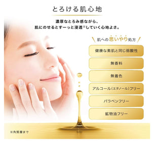 Hada Labo Gokuyjun Premium Hyaluronic Acid Cream 50g
