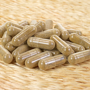 Close-up of Kanehide Bio Okinawa Fucoidan Supplement, 180 Capsules, featuring high-purity fucoidan for vitality