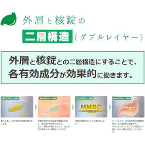 300 Tablets Kowa Kyabejin Alpha with antacids, offering comfort for all ages