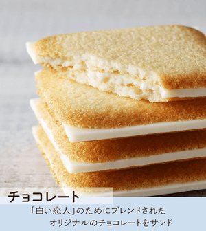 ISHIYA Shiroi Koibito (White & Black) 36 Cans