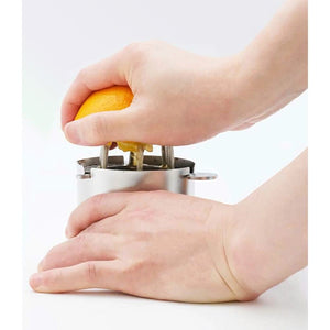 Compact Stylish Manual Citrus Juicer with stainless steel strainer, designed for everyday home use