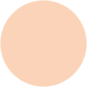 Kiss Me Ferme Moist Glossy Skin Powder Foundation 02 Natural Skin Color - Japan