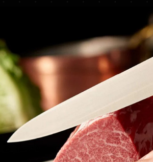 Kiya Carbon Steel Sujihiki Knife 270mm, handcrafted in Japan, perfect for precise carving and culinary preparation.