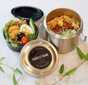 Skater Antibacterial Vacuum Lunch Box - YOYO JAPAN