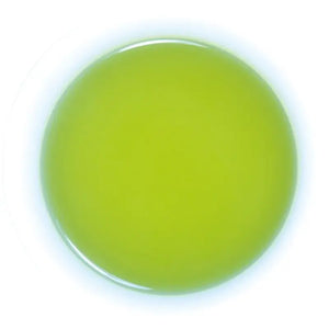 Kunitaro Delicious Caffeineless Deep Steamed Tea 40g - Japanese Non - Caffeine Food and Beverages