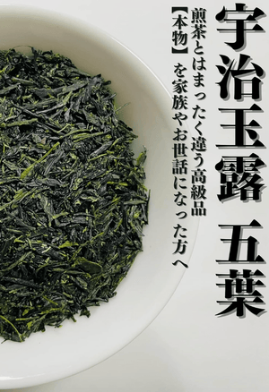 Kyoto Uji Maruri Yoshida Meisha Garden Gyokuro Green Tea (80g)