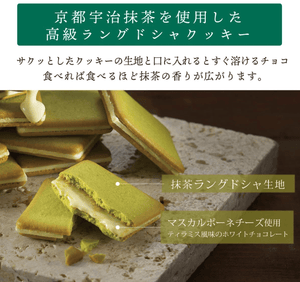 Kyoto Veneto Glazed Tea, 18 Pieces