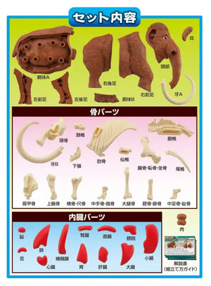 Megahouse Mammoth Kaitai Puzzle Series Buy Japanese Self - Assembly Animal