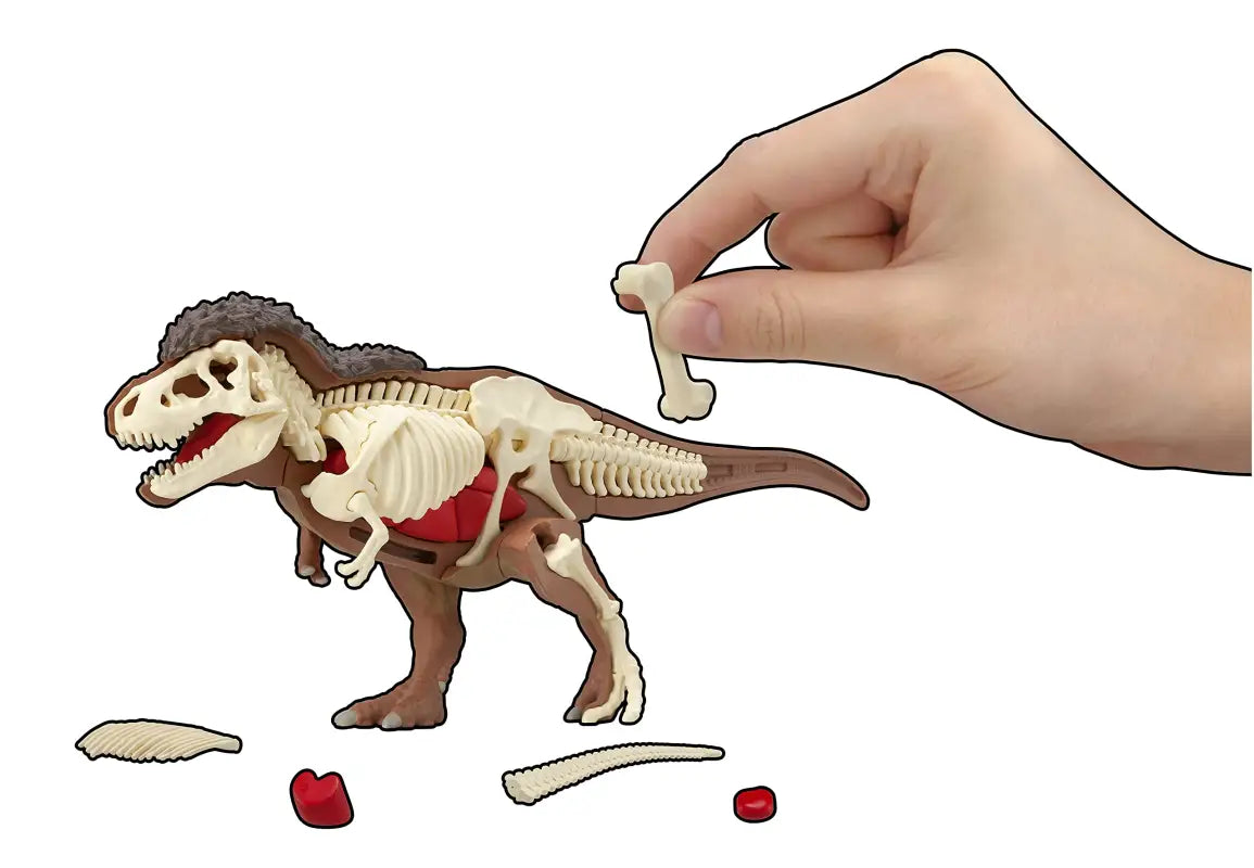Megahouse Tyrannosaurus Kaitai Puzzle Series Japanese Self - Assembly