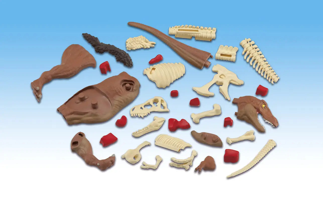 Megahouse Tyrannosaurus Kaitai Puzzle Series Japanese Self - Assembly