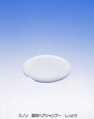 Minon Shampoo Moisture Refill 380ml - Japanese Moisturizing Haircare Products