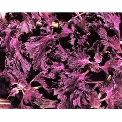 Mishima Yukari Shiso Furikake Rice Seasoning 200g - YOYO JAPAN