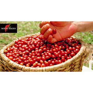 Mount Hagen Arabica Cafe Instant 50g - Freeze-Dried Coffee Food and Beverages