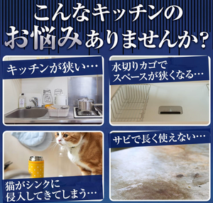 Latuna Dish Drying Rack, Black (42 x 24 cm) - YOYO JAPAN