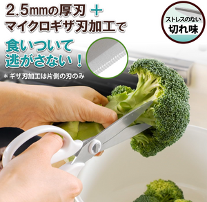 Plus Kitchen Scissors, Disassembly, Paper Box Packaging 35-719 - YOYO JAPAN