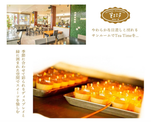 Sawata Western Confectionery Baked Madeleine, 15-piece Assorted Set - YOYO JAPAN