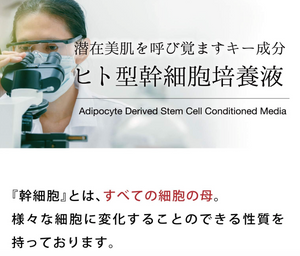 Mimura Hitogata Skin Cream, a human stem cell liposome moisturizing cream (30g) - YOYO JAPAN