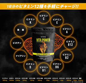 VITAS VITA POWER Maca Zinc, Multivitamins, 120 Capsules - YOYO JAPAN