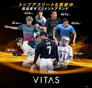 VITAS VITA POWER Maca Zinc, Multivitamins, 120 Capsules - YOYO JAPAN