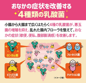 New Biofermin S Plus Tablets (360 tablets x 2 packs) - YOYO JAPAN